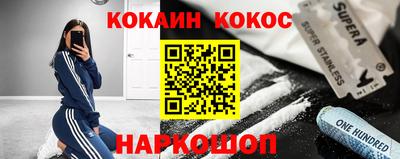 Альфа ПВП Кандалакша