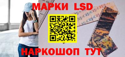 Альфа ПВП Кандалакша