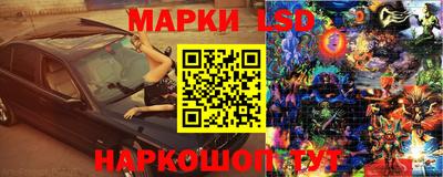 Альфа ПВП Кандалакша