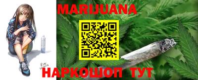 apvp Канаш